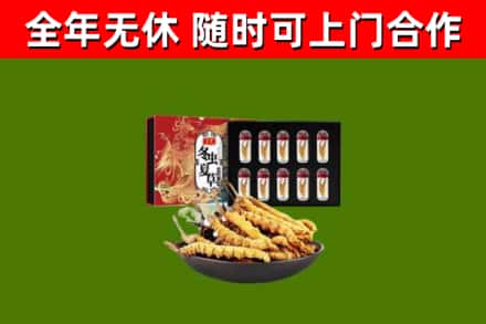 大庆回收冬虫夏草价格